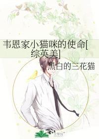 综英美韦恩家小猫的义务番外