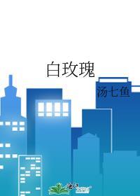 白玫瑰花语是什么