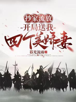 开局送我四个美娇妻暮光流雨TXT