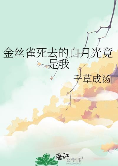 金丝雀失忆后月亮罐头
