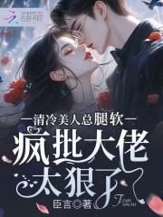 清冷美人疯批大佬太狠总共多少