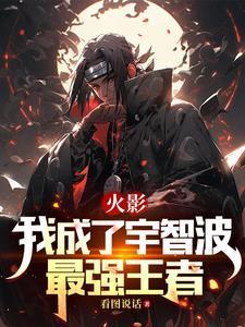 火影 我成了宇智波棋子 反手把桌子掀了