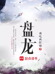 盘龙境界划分