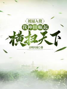 被迫入赘我种田崛起横扫天下