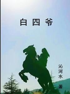 白四爷第二季全集在线看
