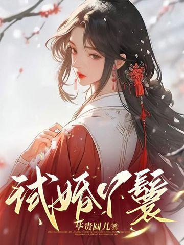 试婚丫鬟的背景设定是哪个朝代