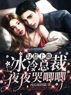 总裁甜妻宠上瘾冷夜