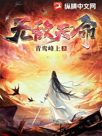 无敌天命笔趣阁全集