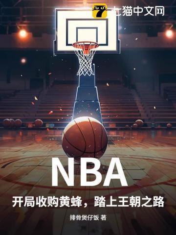 免费NBA收购
