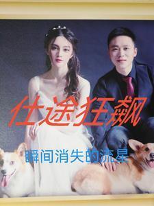 权利巅峰从前妻背叛到仕途狂飙