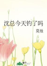 沈总今天绿了吗结局