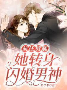 前男友劈腿妹妹我闪婚他疯了免费阅读537章到538章