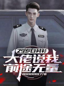 29岁白衬衫大佬说我前途无量免费阅读